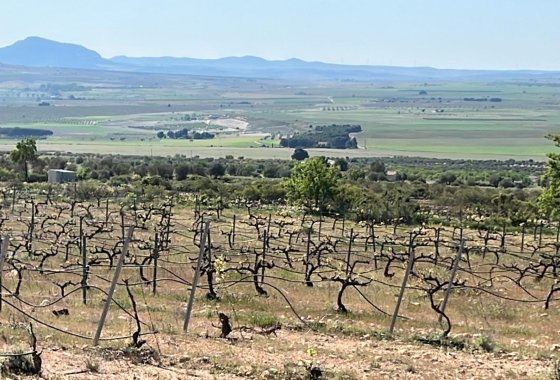 Nueva construcción  - Chalet Independiente - Yecla