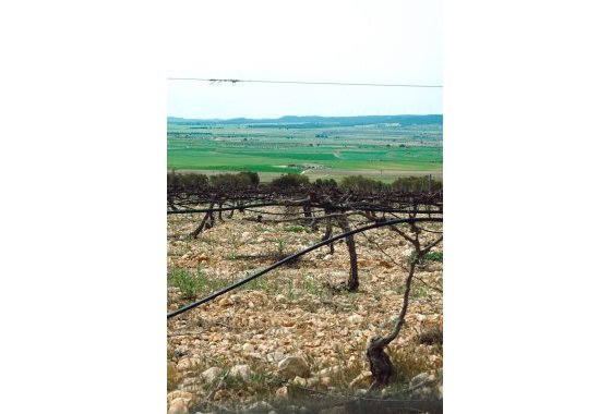 Nueva construcción  - Chalet Independiente - Yecla