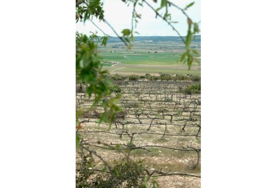 Nueva construcción  - Chalet Independiente - Yecla