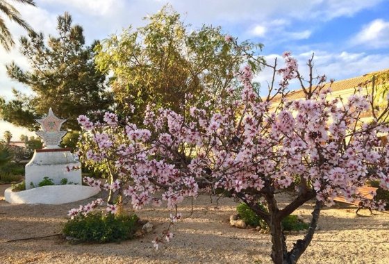 Nueva construcción  - Chalet Independiente - Los Urrutias - Estrella De Mar
