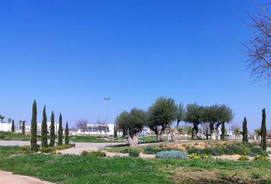 Nueva construcción  - Apartamento - Torre Pacheco - Centro