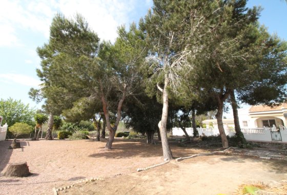 Re-Sale - Bungalow - Benijofar