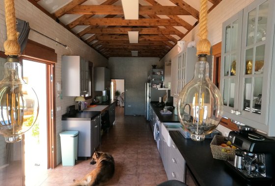 Reventa - Chalet Independiente - Jacarilla