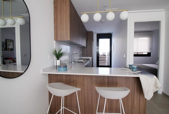 Nueva construcción  - Duplex - Pilar de la Horadada - parque Andromeda