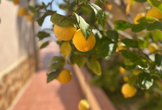 Reventa - Chalet Independiente - Algorfa - Almoradí