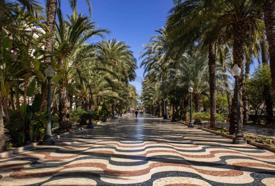 Nueva construcción  - Apartamento - Alicante - Centro