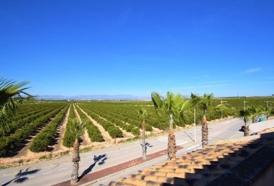 Re-Sale - Semi - Detached Villa - Algorfa