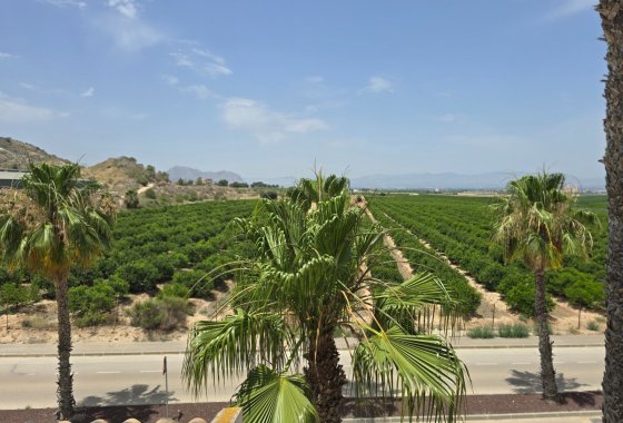 Reventa - Chalet Independiente - Algorfa