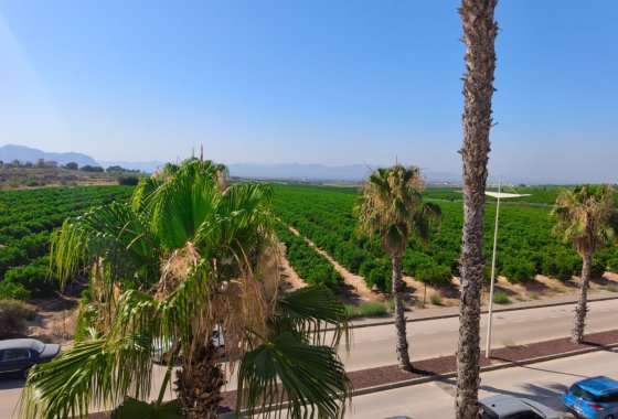 Re-Sale - Semi - Detached Villa - Algorfa