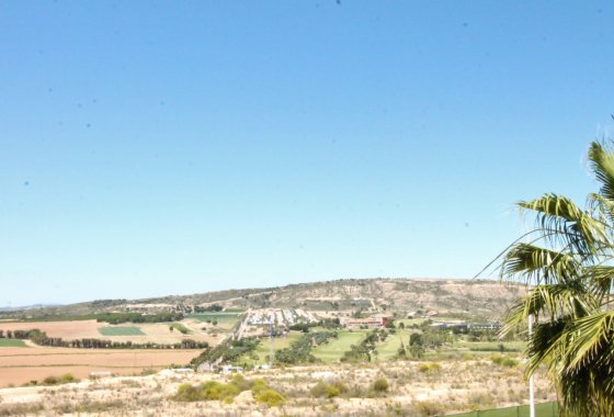 Reventa - Duplex - Algorfa