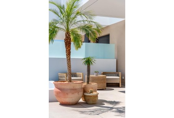 New Build - Townhouse - Dolores - Sector 3