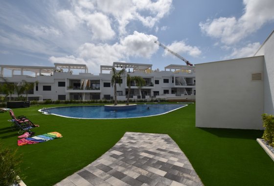 Reventa - Apartamento - Torrevieja - Los Balcones