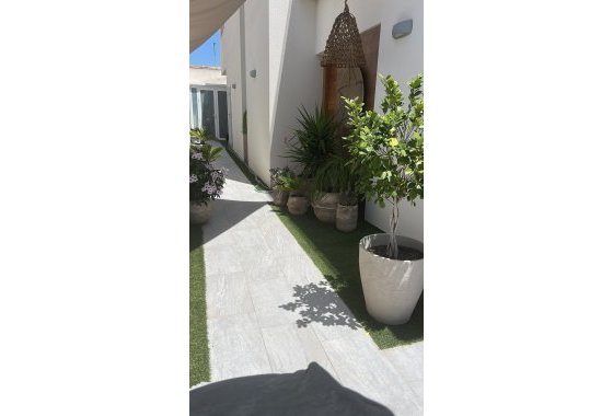 Reventa - Chalet Independiente - Daya Vieja