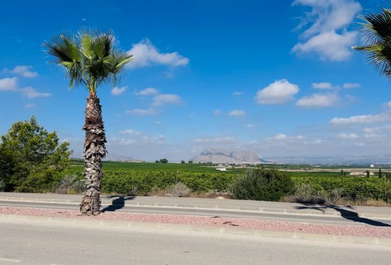 Re-Sale - Apartment - Algorfa