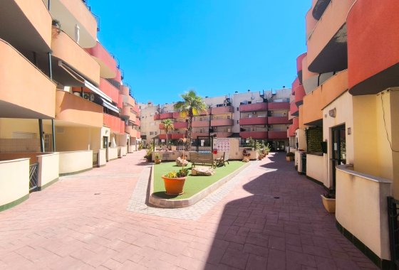 Reventa - Apartamento - Almoradí