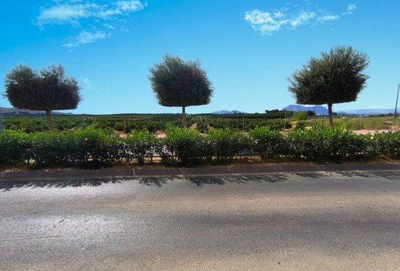 Re-Sale - Apartment - Algorfa