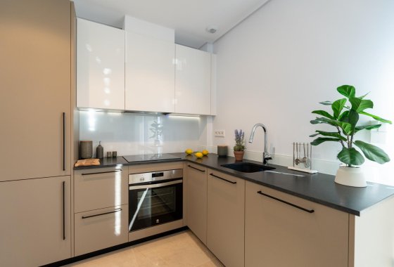 Nueva construcción  - Duplex - Gran Alacant