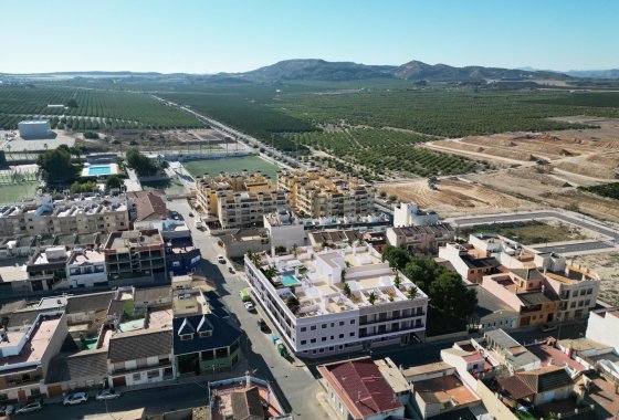 Nueva construcción  - Apartamento - Algorfa
