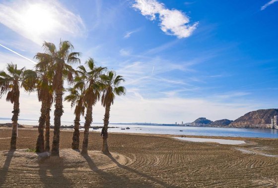 Nueva construcción  - Chalet Independiente - Els Poblets - Partida Barranquets