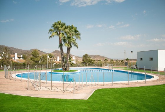 Nueva construcción  - Chalet Independiente - Fuente Álamo - Las Palas