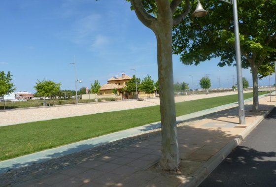 Nueva construcción  - Duplex - Pilar de la Horadada