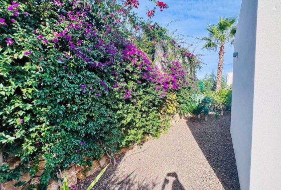 Re-Sale - Detached Villa - Algorfa