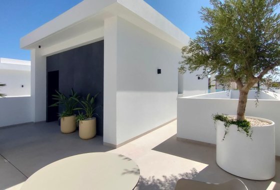 Nueva construcción  - Chalet Independiente - Rojales - Ciudad Quesada