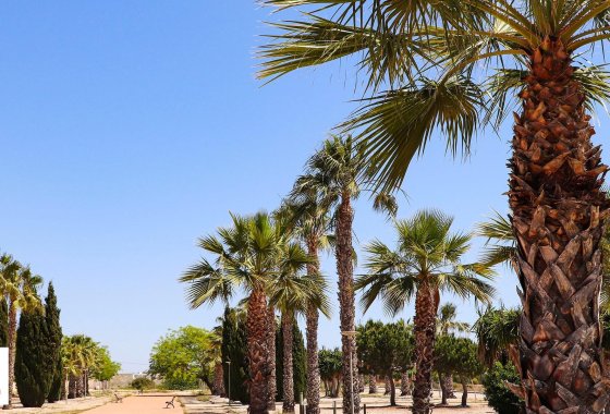 New Build - Detached Villa - San Fulgencio - La Escuera