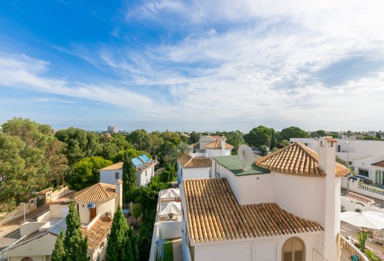 Reventa - Apartamento - La Zenia - Beach