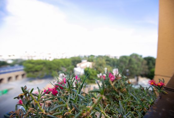 Reventa - Apartamento - La Zenia - Beach