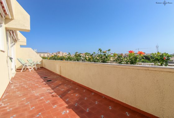 Re-Sale - Apartment - Punta Prima - Beachside