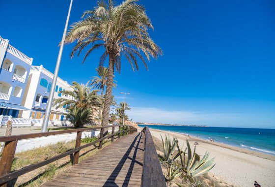 Re-Sale - Apartment - Mil Palmeras - Beach
