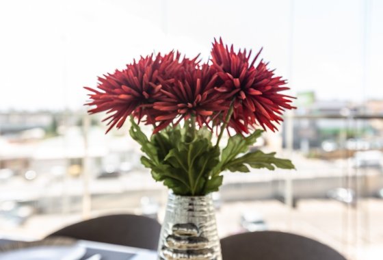 Reventa - Apartamento - Villamartin