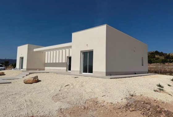 New Build - Detached Villa - Pinoso - Camino Del Prado