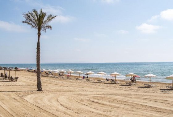 Nueva construcción  - Apartamento - Guardamar del Segura - Pueblo