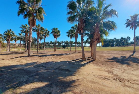 Reventa - Chalet Independiente - Algorfa