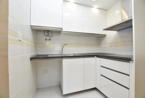 Re-Sale - Terraced house / Townhouse - Torrevieja - Lago Jardín II