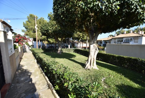 Re-Sale - Terraced house / Townhouse - Torrevieja - Lago Jardín II