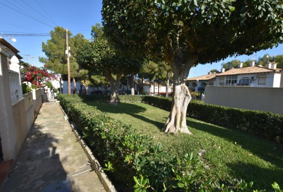 Re-Sale - Terraced house / Townhouse - Torrevieja - Lago Jardín II