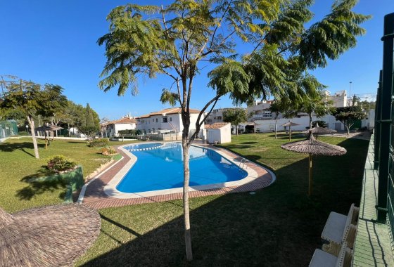 Re-Sale - Terraced house / Townhouse - Torrevieja - Lago Jardín II