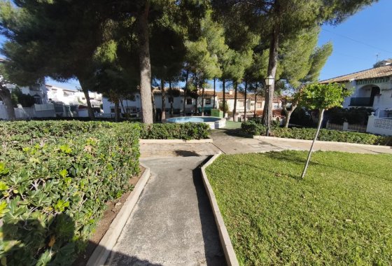 Re-Sale - Townhouse - Torrevieja - Lago jardin