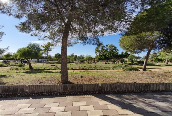 Reventa - Bungalow - Torrevieja - El chaparral