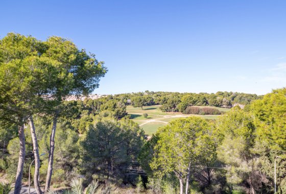 Re-Sale - Semi - Detached Villa - Villamartin - Fortuna