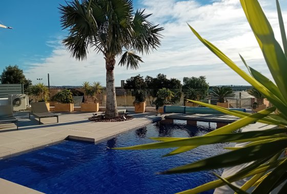 Reventa - Chalet Independiente - Algorfa