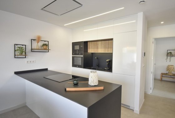 New Build - Detached Villa - San Pedro del Pinatar - Los Antolinos