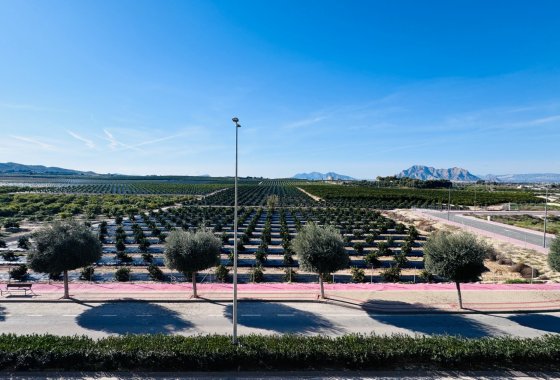 Re-Sale - Apartment - Algorfa