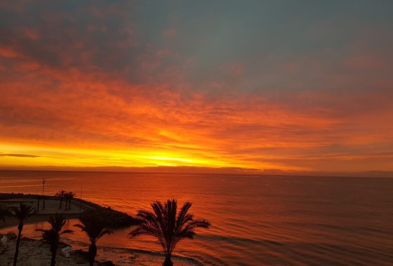 Re-Sale - Apartment - Torrevieja - Playa del Cura