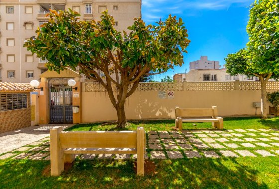 Re-Sale - Apartment - Torrevieja - Centro