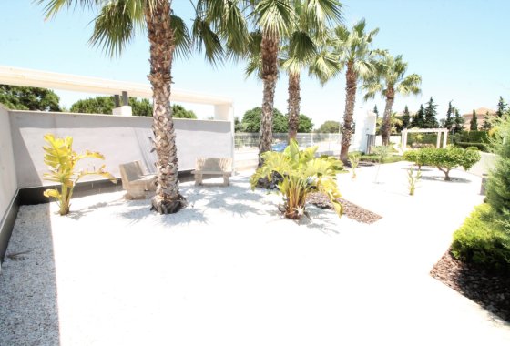 Reventa - Apartamento - Torrevieja - Punta Prima