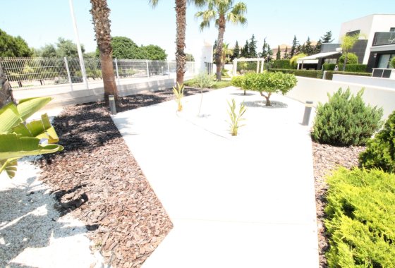 Reventa - Apartamento - Torrevieja - Punta Prima